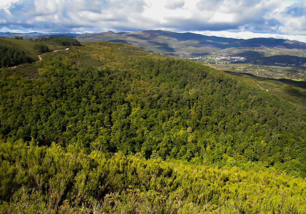Carvalhal do Avelar (Montalegre)
