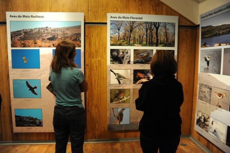 Centro-Interpretativo-da-Avifauna-de-Tourem-Foto-Ecomuseu-do-Barroso-2