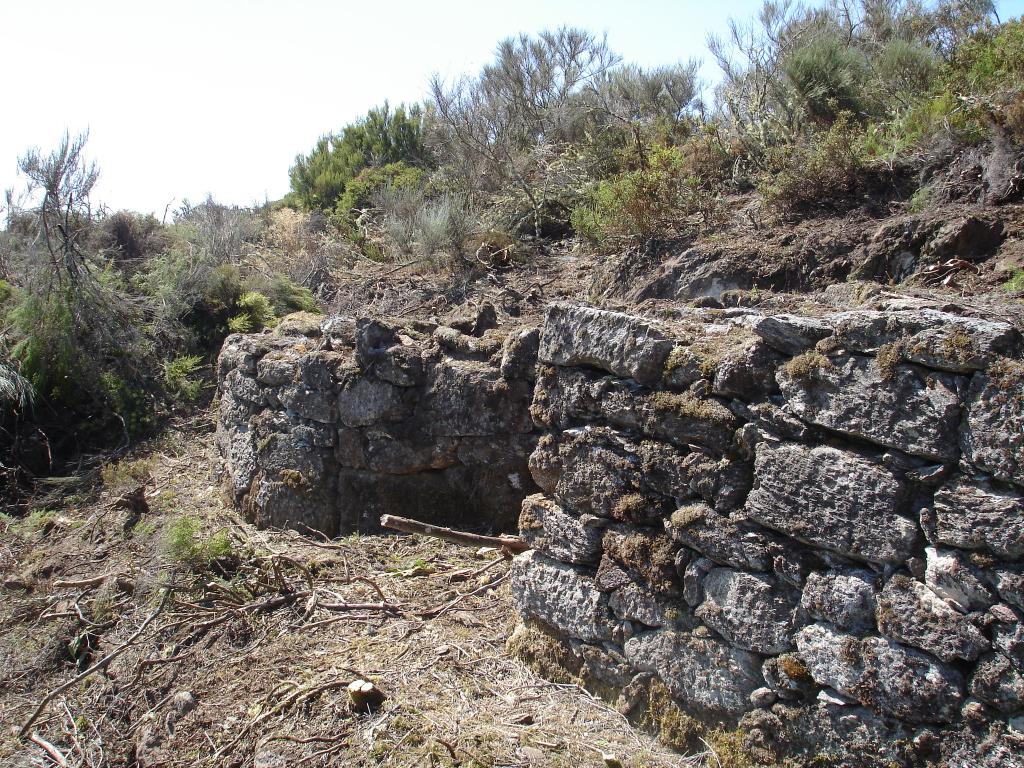 DSC01470