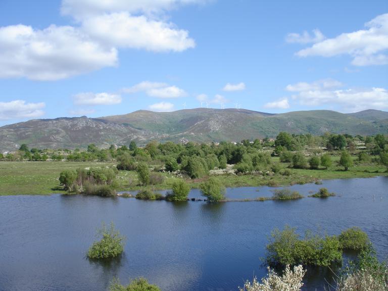 DSC08198