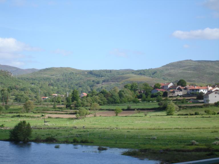 DSC08246