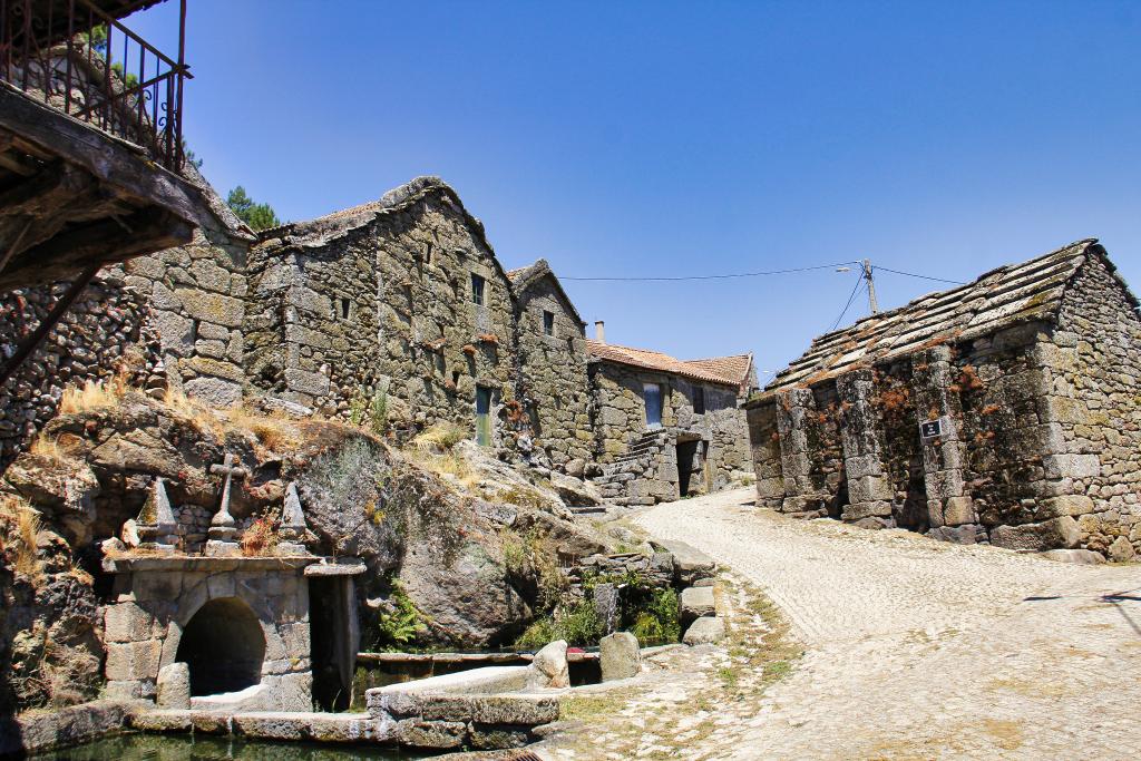 _MG_2251