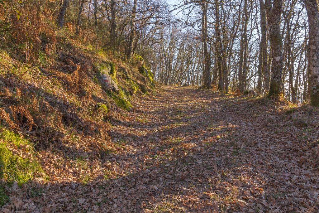 _MG_8479