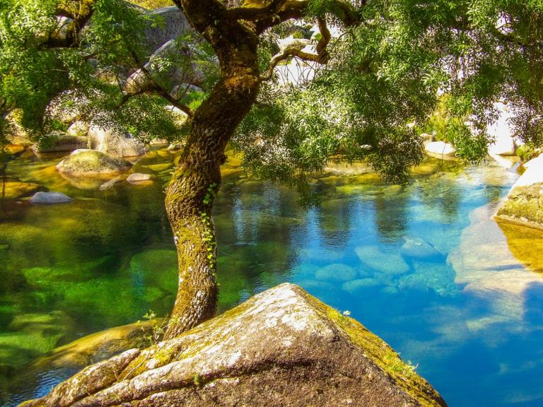 Poço Verde