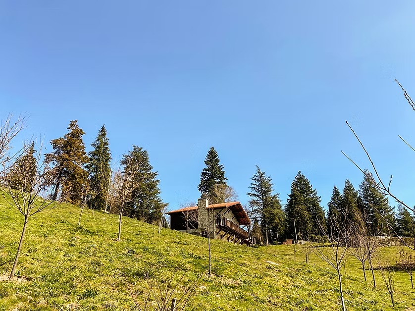 IMG-20260625-WA0010