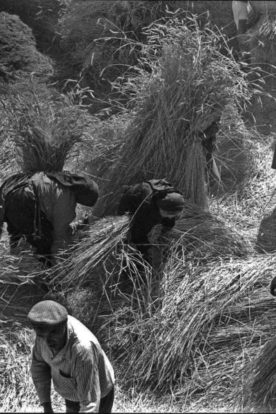 Georges Dussaud; La Moisson;