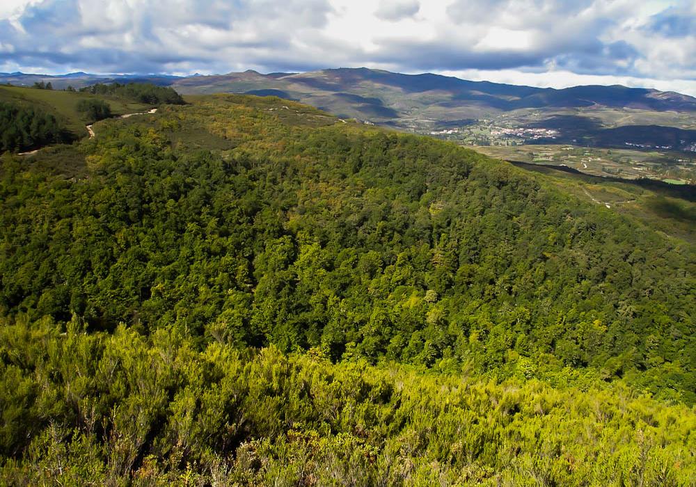 Carvalhal do Avelar (Montalegre)