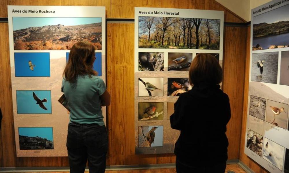 Centro-Interpretativo-da-Avifauna-de-Tourem-Foto-Ecomuseu-do-Barroso-2