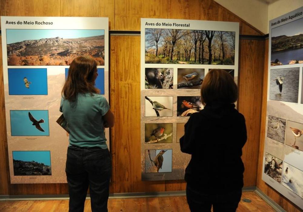 Centro-Interpretativo-da-Avifauna-de-Tourem-Foto-Ecomuseu-do-Barroso-2