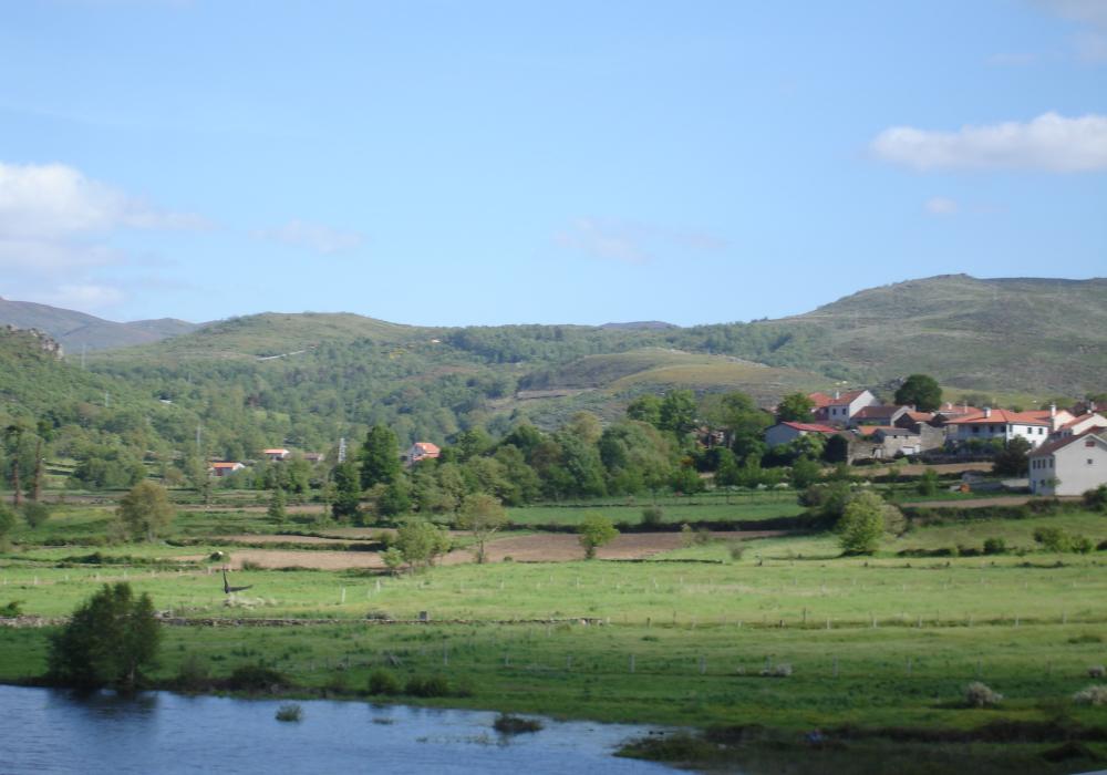 DSC08246