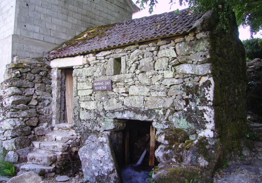 DIGITAL CAMERA