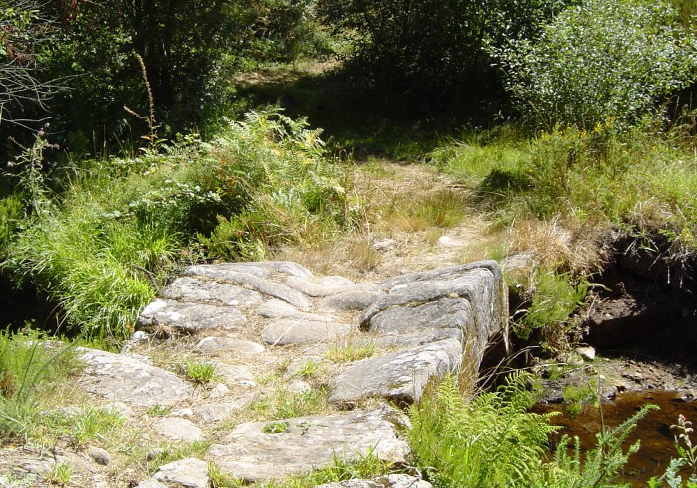 Ponte de Peirezes 05