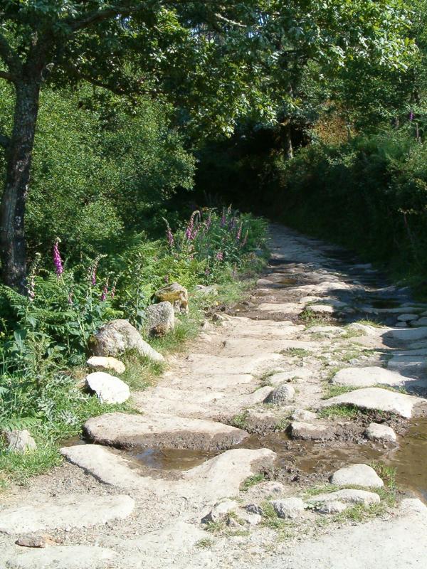 Via Romana (calçada Currais) 02
