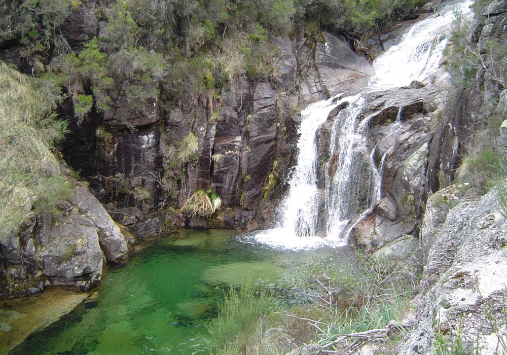 caldeiras de pereiraS